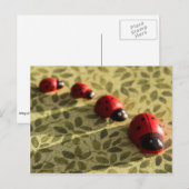 Carte postale Ladybugs (Devant / Derrière)