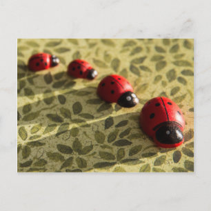 Carte postale Ladybugs