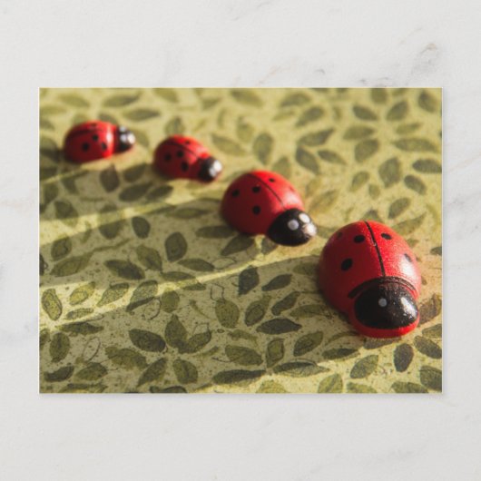 Carte postale Ladybugs (Devant)