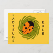 Carte Postale Ladybugs (Devant / Derrière)