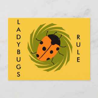 Carte Postale Ladybugs