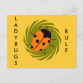 Carte Postale Ladybugs (Devant)