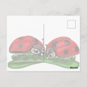 Carte Postale Ladybugs  (Dos)