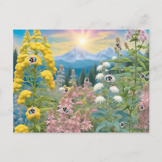 Carte Postale Ladybugs Visitant Le Jardin (Devant)