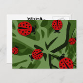 Carte Postale ladybugz. (Devant / Derrière)
