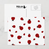 Carte Postale ladybugz. (Devant / Derrière)