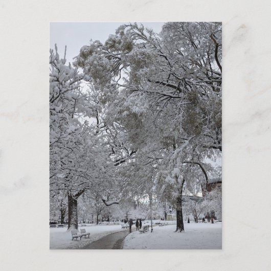 Carte Postale Lafayette Square, Washington, DC, chemin d'hiver (Devant)