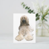 Carte Postale L'Afghanistan d'Helaine (Debout devant)