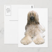 Carte Postale L'Afghanistan d'Helaine (Devant / Derrière)