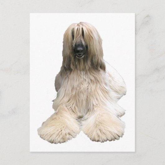 Carte Postale L'Afghanistan d'Helaine (Devant)