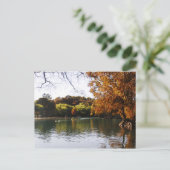 Carte postale Lago Camecuaro (Debout devant)