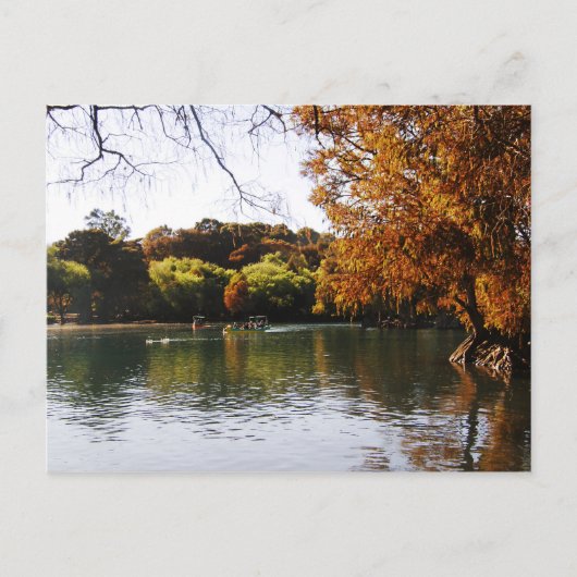 Carte postale Lago Camecuaro (Devant)