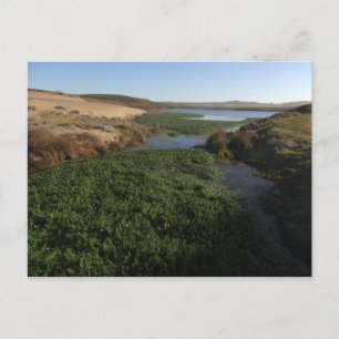 Carte Postale Lagon d'Abbotts I à Point Reyes National Seashore