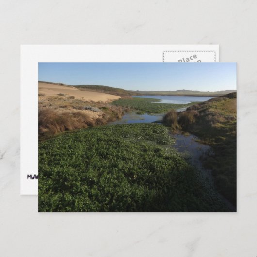 Carte Postale Lagon d'Abbotts I à Point Reyes National Seashore (Devant / Derrière)