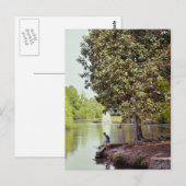 Carte Postale Lagon d'Audubon (Devant / Derrière)