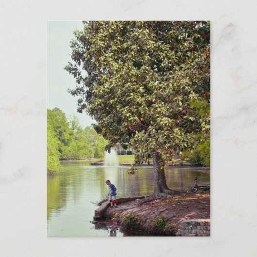 Carte Postale Lagon d'Audubon (Devant)