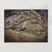 Carte Postale Lagon d'Audubon (Devant)