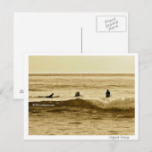 Carte postale Laguna Lineup (Devant / Derrière)