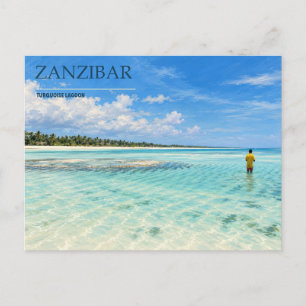 Carte Postale Lagune turquoise de Zanzibar Côte bordée de palm