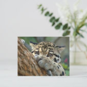 Carte Postale L'Ai-Je Obtenu ? (Debout devant)