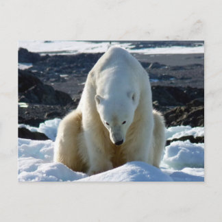 Carte Postale L'aide, mon monde fond !