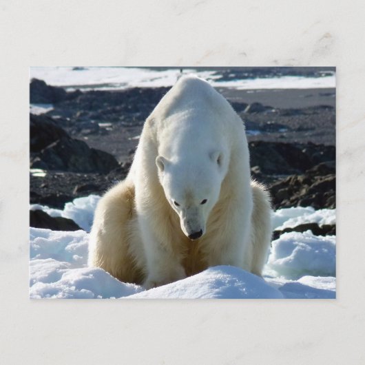 Carte Postale L'aide, mon monde fond ! (Devant)