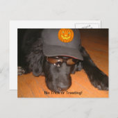 Carte Postale Laissé derrière cet Halloween (Devant / Derrière)