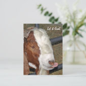 Carte Postale Laisse-le bouger, Boar Billy (Debout devant)
