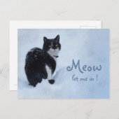 Carte Postale Laisse-moi entrer ! CC0826 Cat pensées (Devant / Derrière)