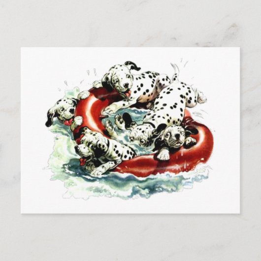 Carte Postale laisse nager (Devant)