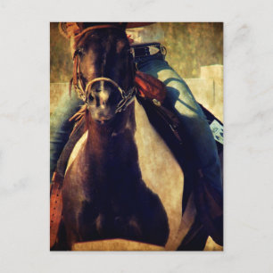 Carte Postale Laisse Pinto Pony s'enfuir