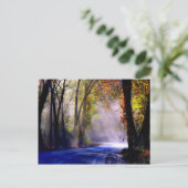 Carte Postale Laisser Briller Votre Lumière (Debout devant)