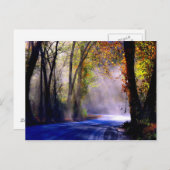 Carte Postale Laisser Briller Votre Lumière (Devant / Derrière)