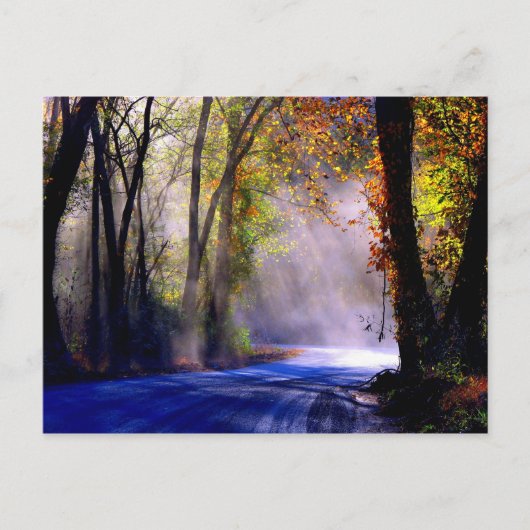 Carte Postale Laisser Briller Votre Lumière (Devant)