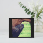 Carte Postale Laissez-Moi Vous Dire Un Secret (Debout devant)