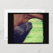 Carte Postale Laissez-Moi Vous Dire Un Secret (Devant / Derrière)