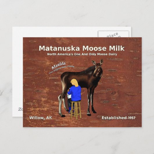 Carte Postale Lait d'orignal Matanuska (Devant / Derrière)
