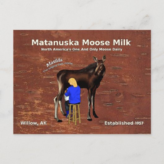 Carte Postale Lait d'orignal Matanuska (Devant)