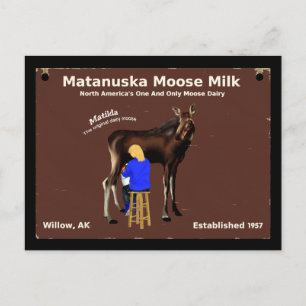 Carte Postale Lait d'orignal Matanuska