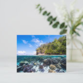 Carte Postale Laja Ampat Sous-marin 2 (Debout devant)