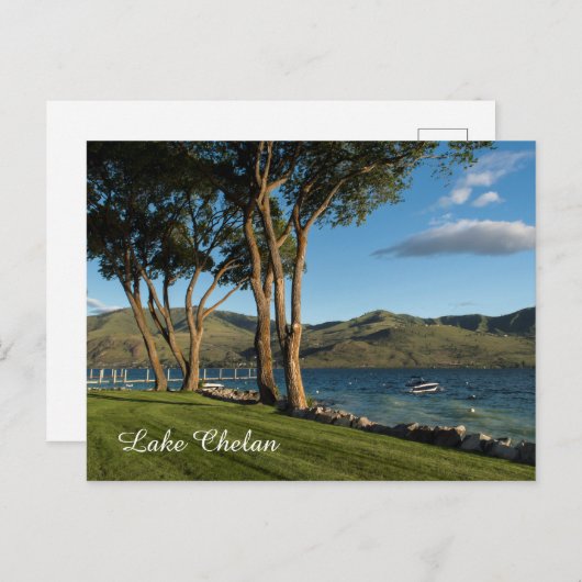 Carte Postale Lake Chelan Washington State Boat & Trees Travel (Devant / Derrière)