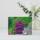 Carte Postale Lake District (Debout devant)