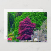 Carte Postale Lake District (Devant / Derrière)