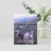 Carte Postale Lake District (Debout devant)