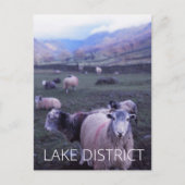 Carte Postale Lake District (Devant)