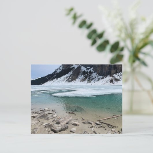 Carte Postale Lake Louise, Alberta Canadian Rockies (Debout devant)