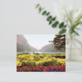 Carte Postale Lake Louise Gardens (Debout devant)