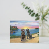 Carte Postale Lake Road - Deux récupérateurs Labrador (Choc-Blk) (Debout devant)