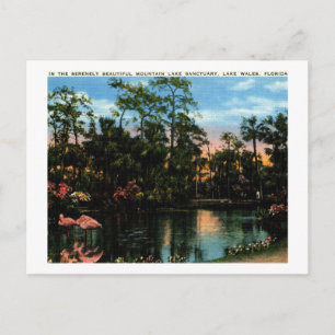 Carte Postale Lake Sanctuary, Lac de Galles, Floride Vintage