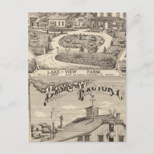 Carte Postale Lake View Farm à South Burlington (Devant)